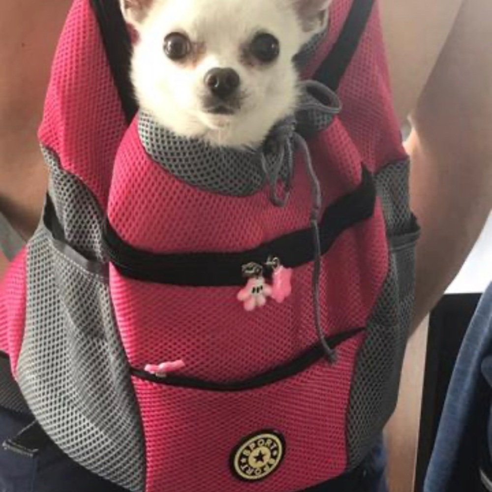 Floofy Pets Backpack - Picture 2 of 5